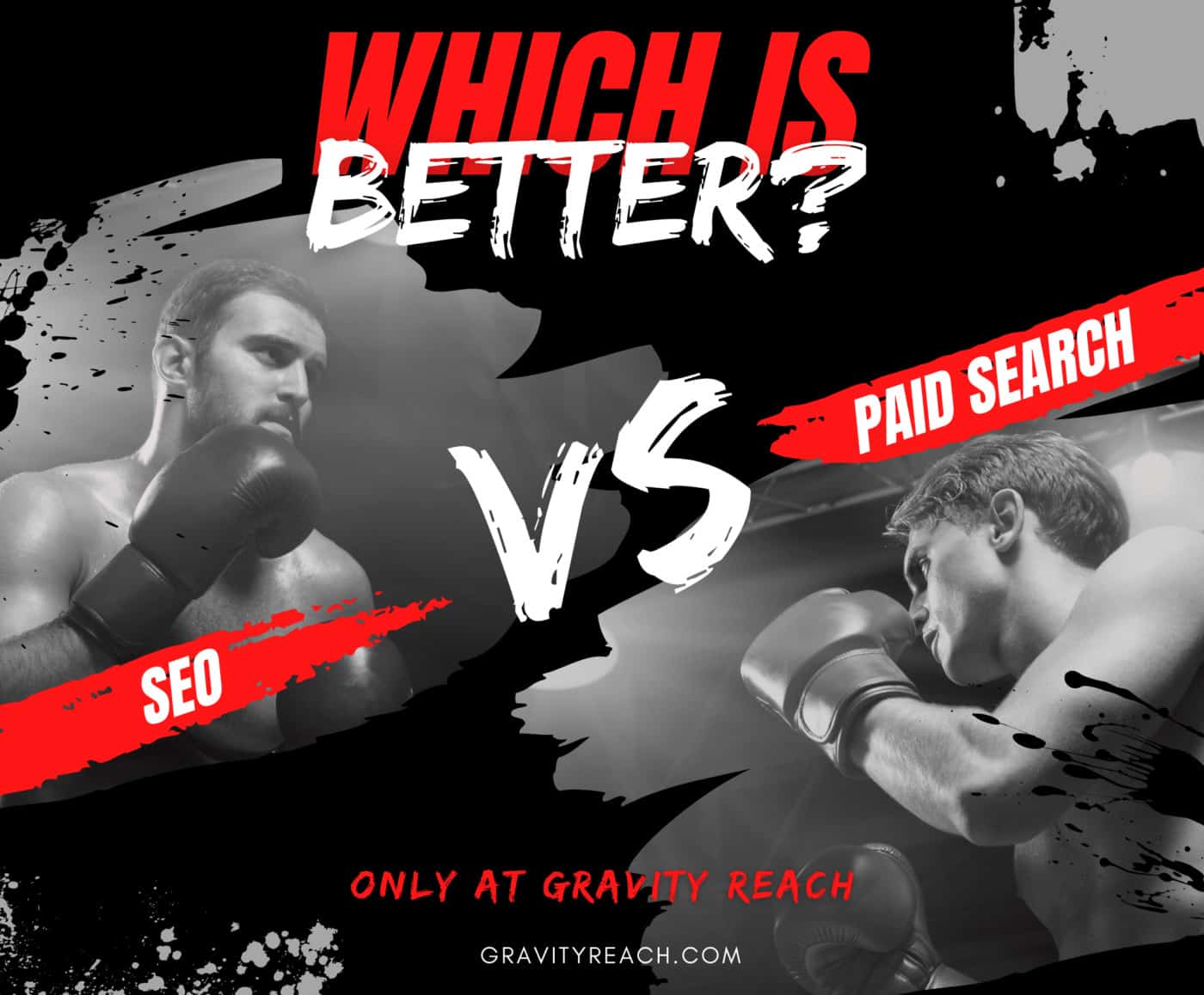 SEO vs Paid Search
